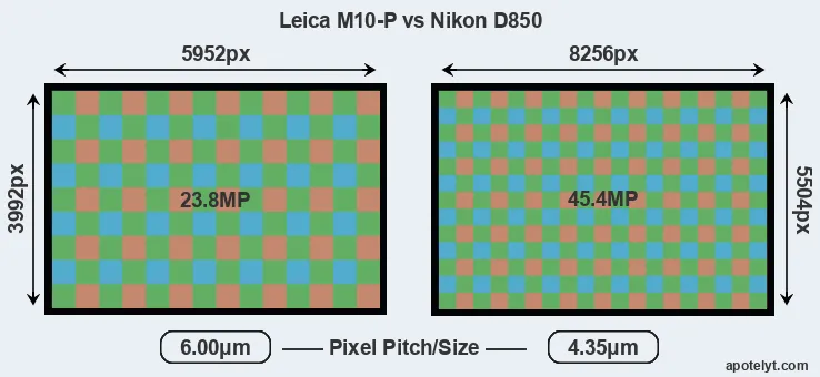 M10-P versus D850 MP