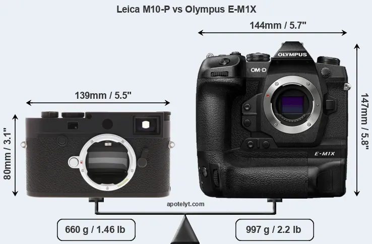 Size Leica M10-P vs Olympus E-M1X