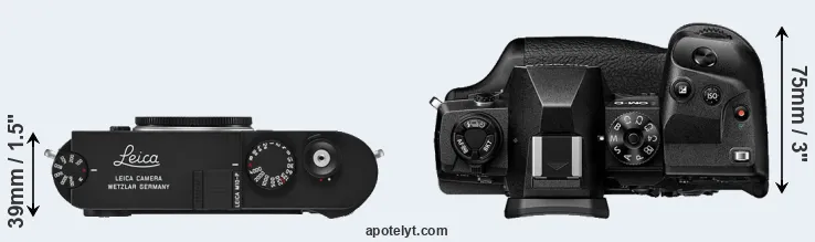 Compare M10-P versus E-M1X top