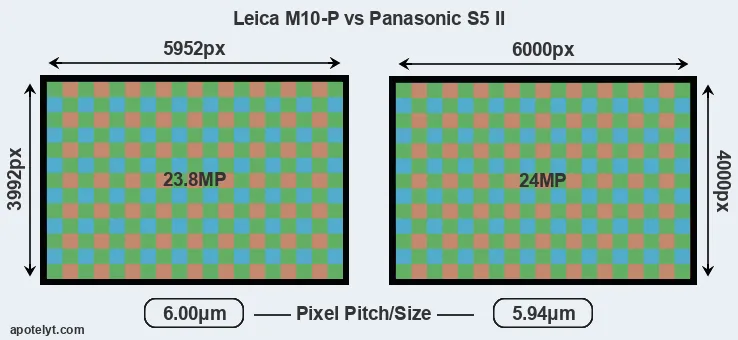 M10-P versus S5 II MP