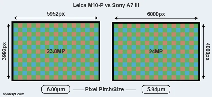 M10-P versus A7 III MP