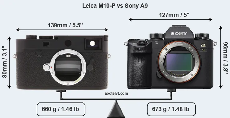 Size Leica M10-P vs Sony A9