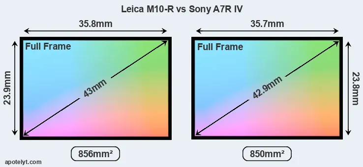 Leica M10-R and Sony A7R IV sensor measures