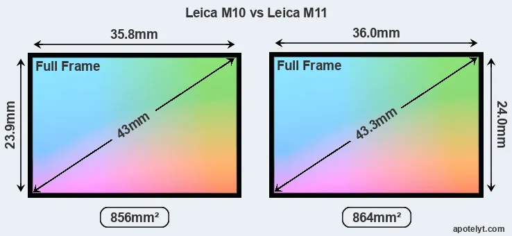Leica M10 and Leica M11 sensor measures