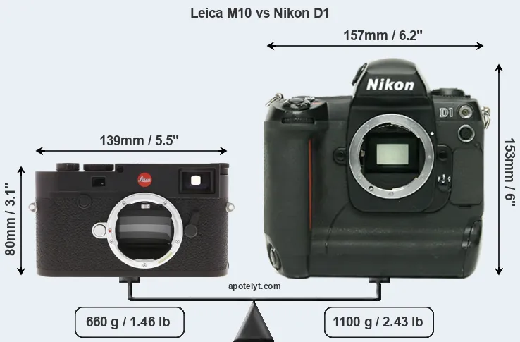 Size Leica M10 vs Nikon D1