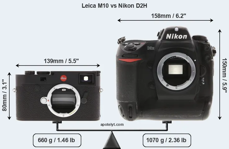 Size Leica M10 vs Nikon D2H