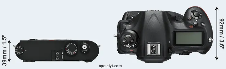 Compare M10 versus D5 top