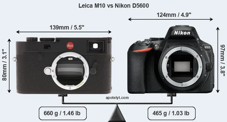 Size Leica M10 vs Nikon D5600