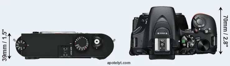 Compare M10 versus D5600 top