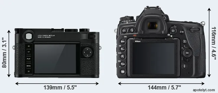 Comparison M10 or D780 rear