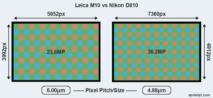 M10 versus D810 MP