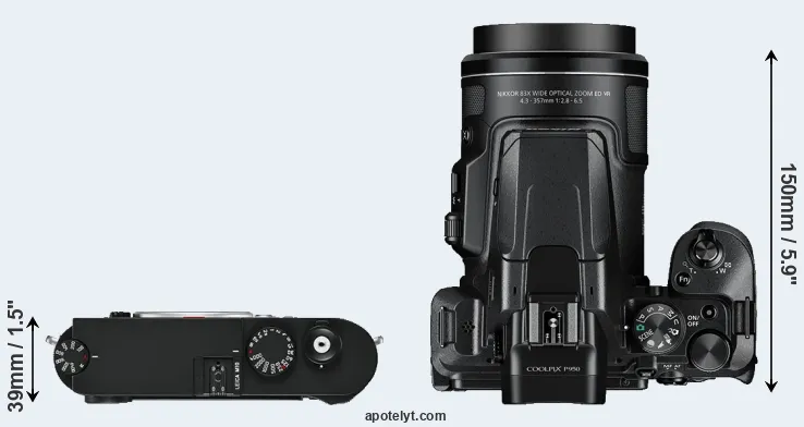 Compare M10 versus P950 top
