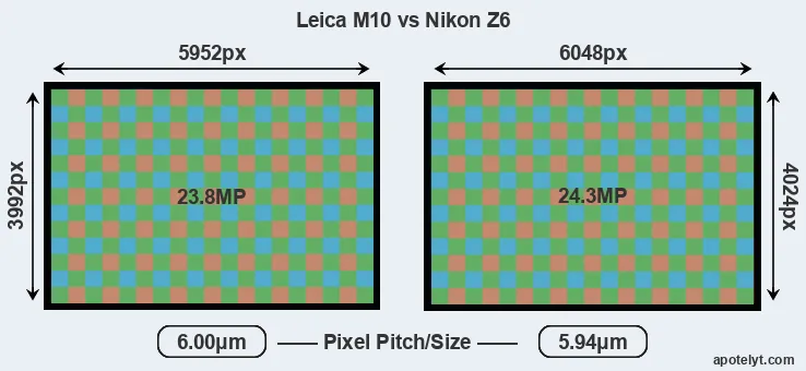 M10 versus Z6 MP