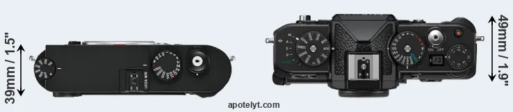 Compare M10 versus Zf top