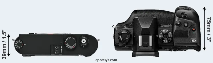 Compare M10 versus E-M1X top