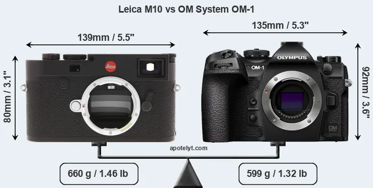 Size Leica M10 vs OM System OM-1