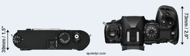 Compare M10 versus OM-1 top