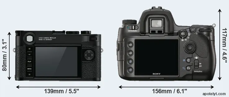 Comparison M10 or A900 rear