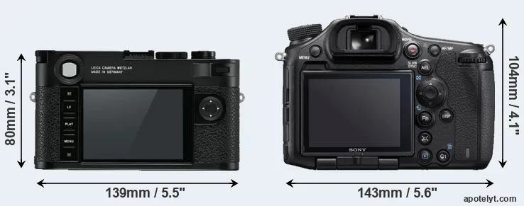 Comparison M10 or A99 II rear