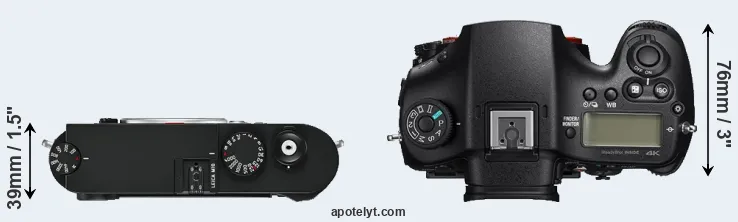 Compare M10 versus A99 II top