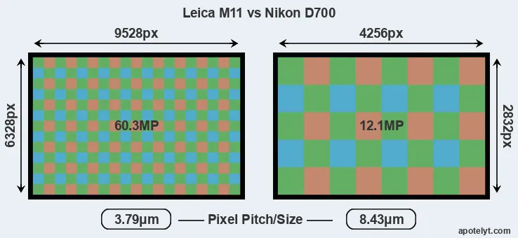 M11 versus D700 MP