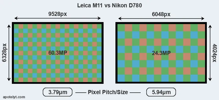 M11 versus D780 MP