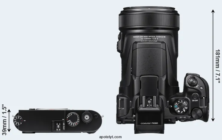 Compare M11 versus P1000 top
