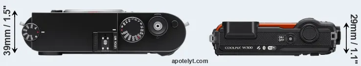 Compare M11 versus W300 top
