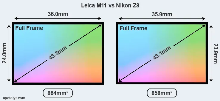 Leica M11 and Nikon Z8 sensor measures