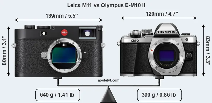 Size Leica M11 vs Olympus E-M10 II