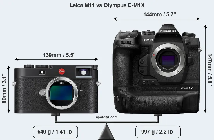 Size Leica M11 vs Olympus E-M1X