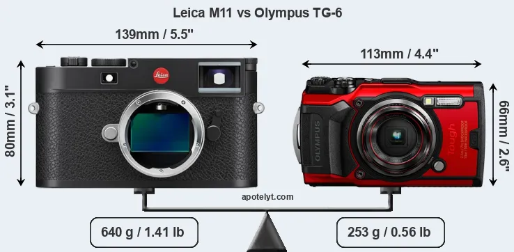 Size Leica M11 vs Olympus TG-6