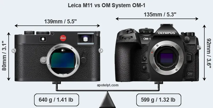 Size Leica M11 vs OM System OM-1