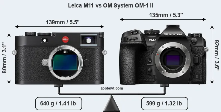 Size Leica M11 vs OM System OM-1 II