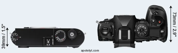 Compare M11 versus OM-1 top