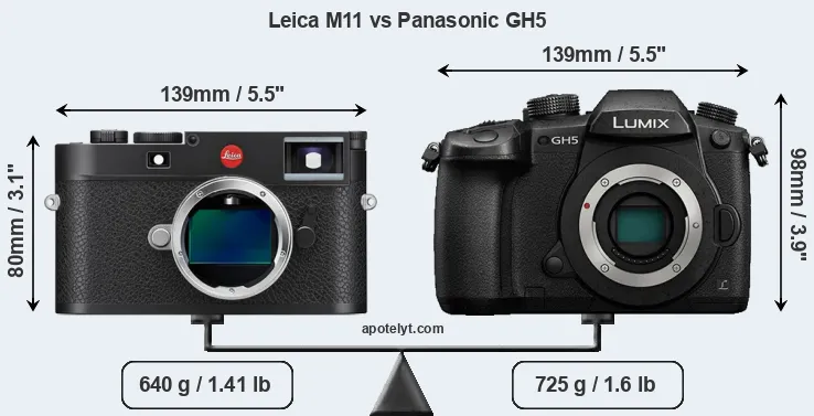 Size Leica M11 vs Panasonic GH5