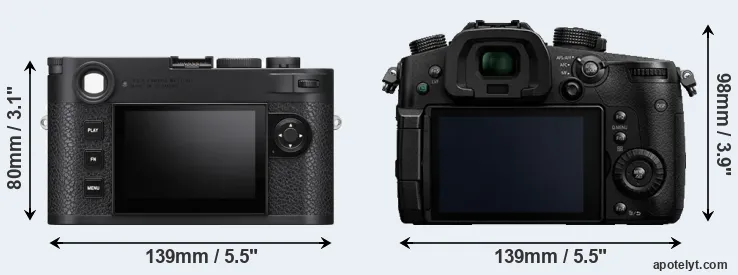 Comparison M11 or GH5 rear