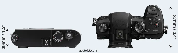 Compare M11 versus GH5 top