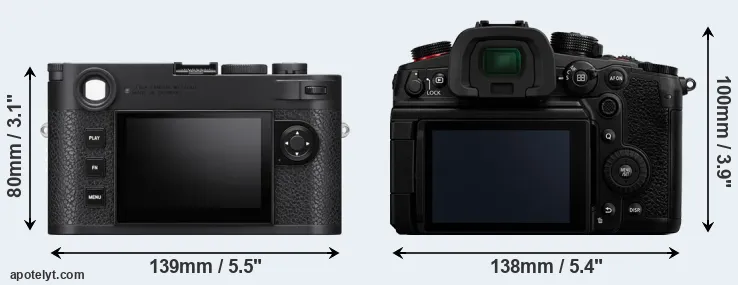 Comparison M11 or GH6 rear