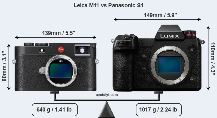 Size Leica M11 vs Panasonic S1