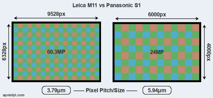 M11 versus S1 MP