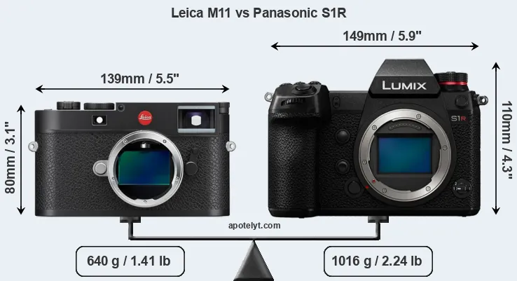 Size Leica M11 vs Panasonic S1R