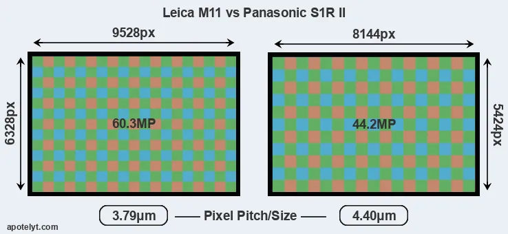 M11 versus S1R II MP