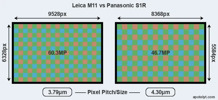 M11 versus S1R MP