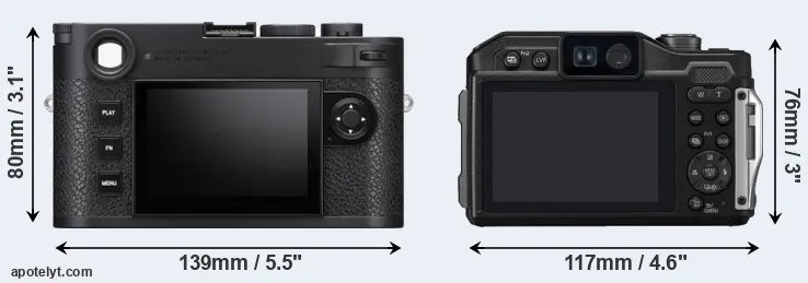 Comparison M11 or TS7 rear