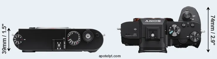 Compare M11 versus A7 III top