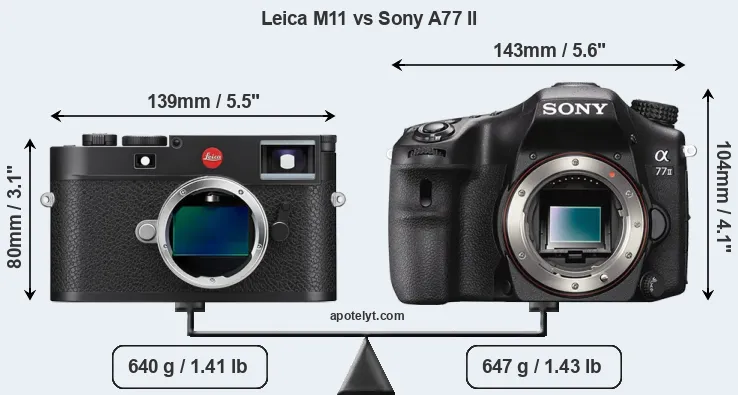 Size Leica M11 vs Sony A77 II