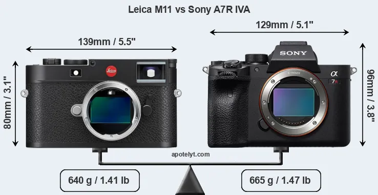 Size Leica M11 vs Sony A7R IVA