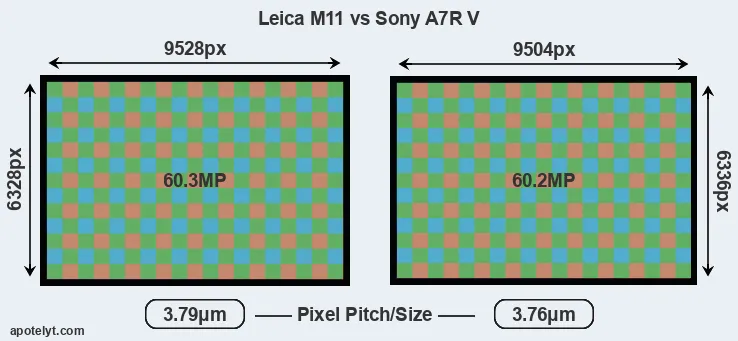 M11 versus A7R V MP