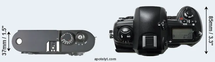 Compare M8 versus D1H top